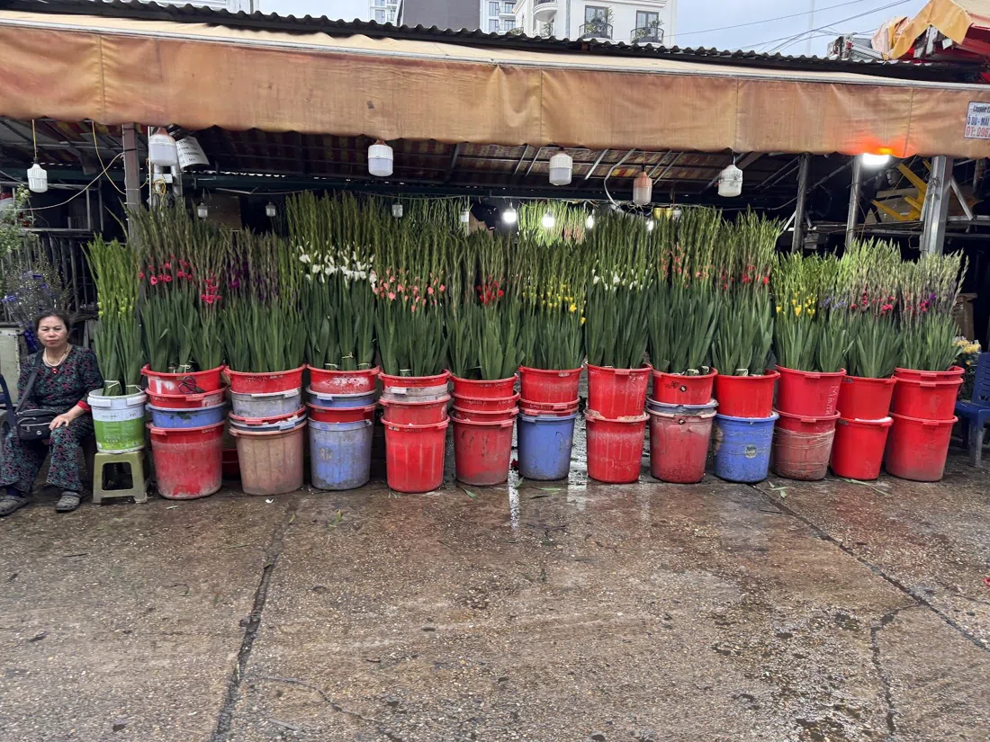 Chợ hoa Quảng An (Quang Ba Night Flower Market), Hanoi
