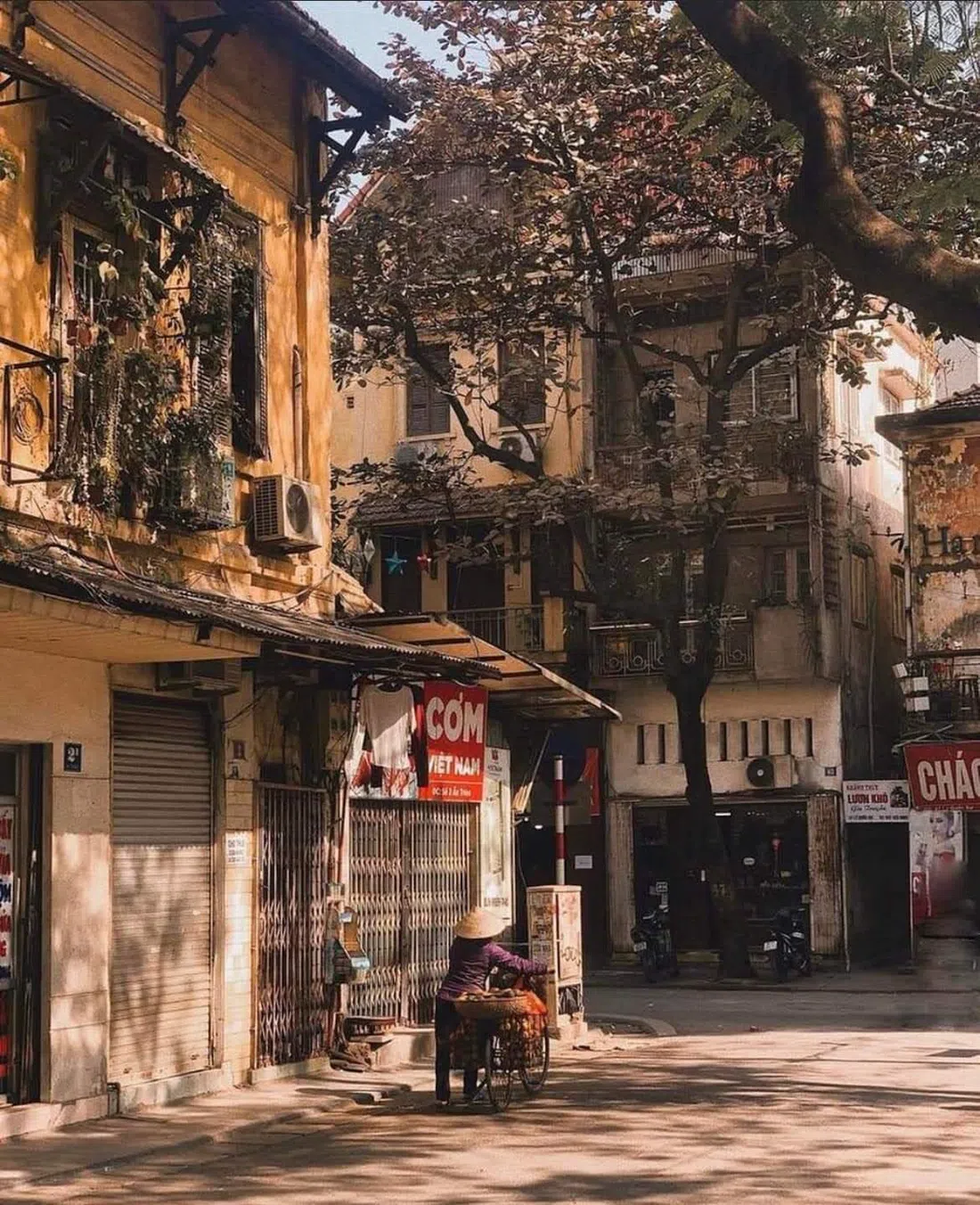 Ngõ Ấu Triệu, Hanoi