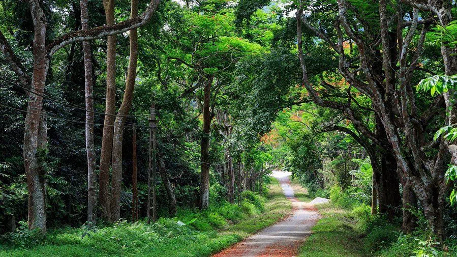 Nationalpark Cúc Phương, Hanoi