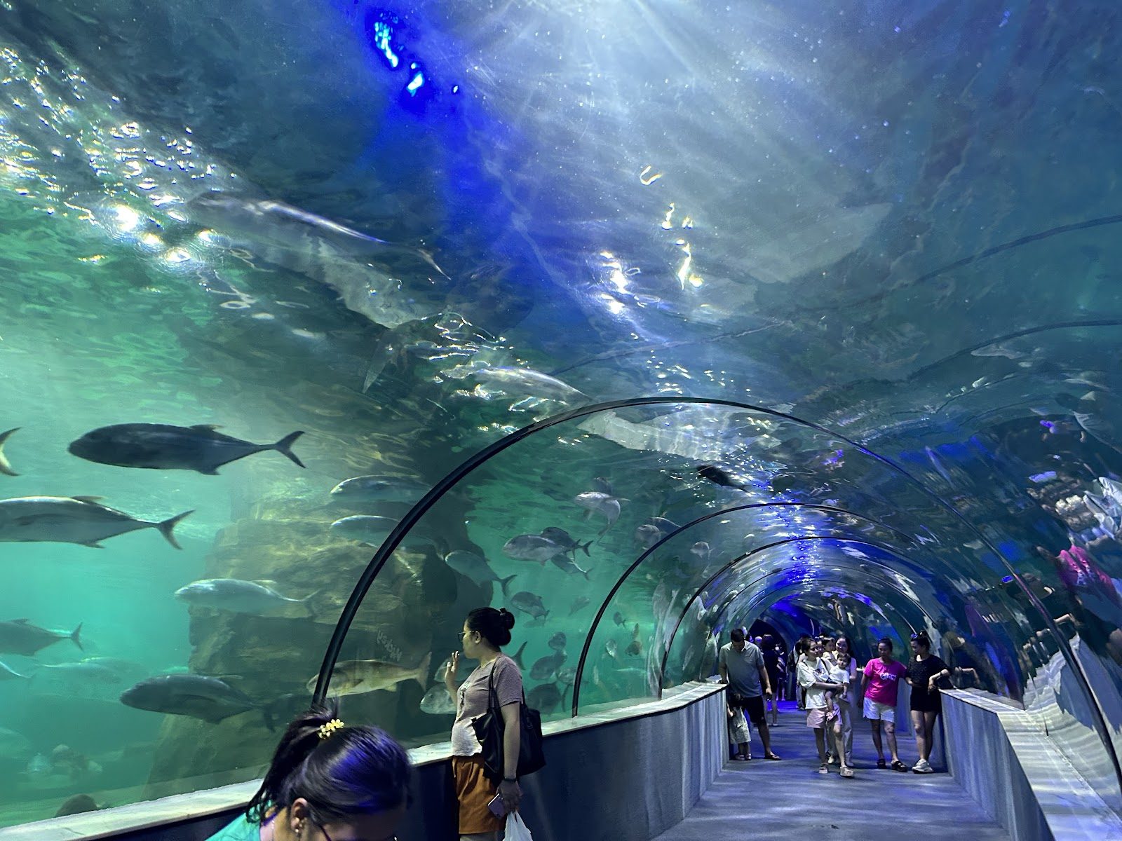 Vinpearl Aquarium and VinKE at Times City