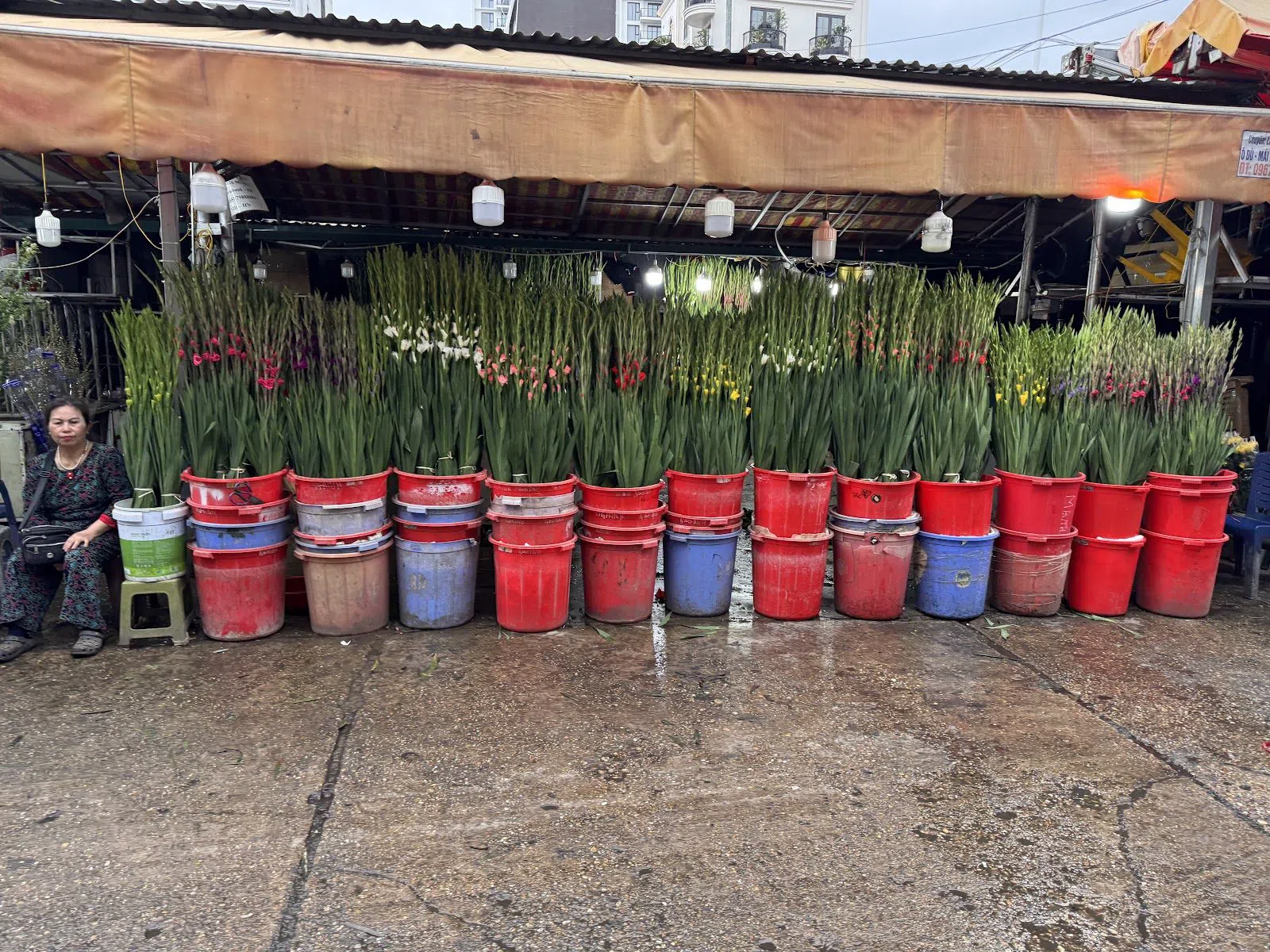Chợ hoa Quảng An (Quang Ba Night Flower Market), Hanoi